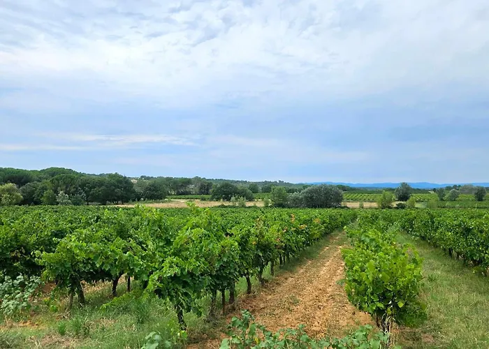 Daire Domaine Roulotte Farigoule Baron (Gard)